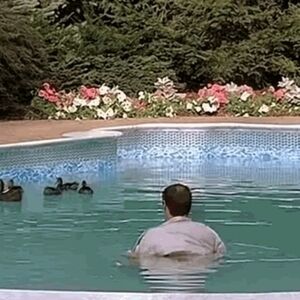 Duck decoys, game winners